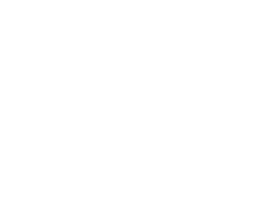 Flexible Module